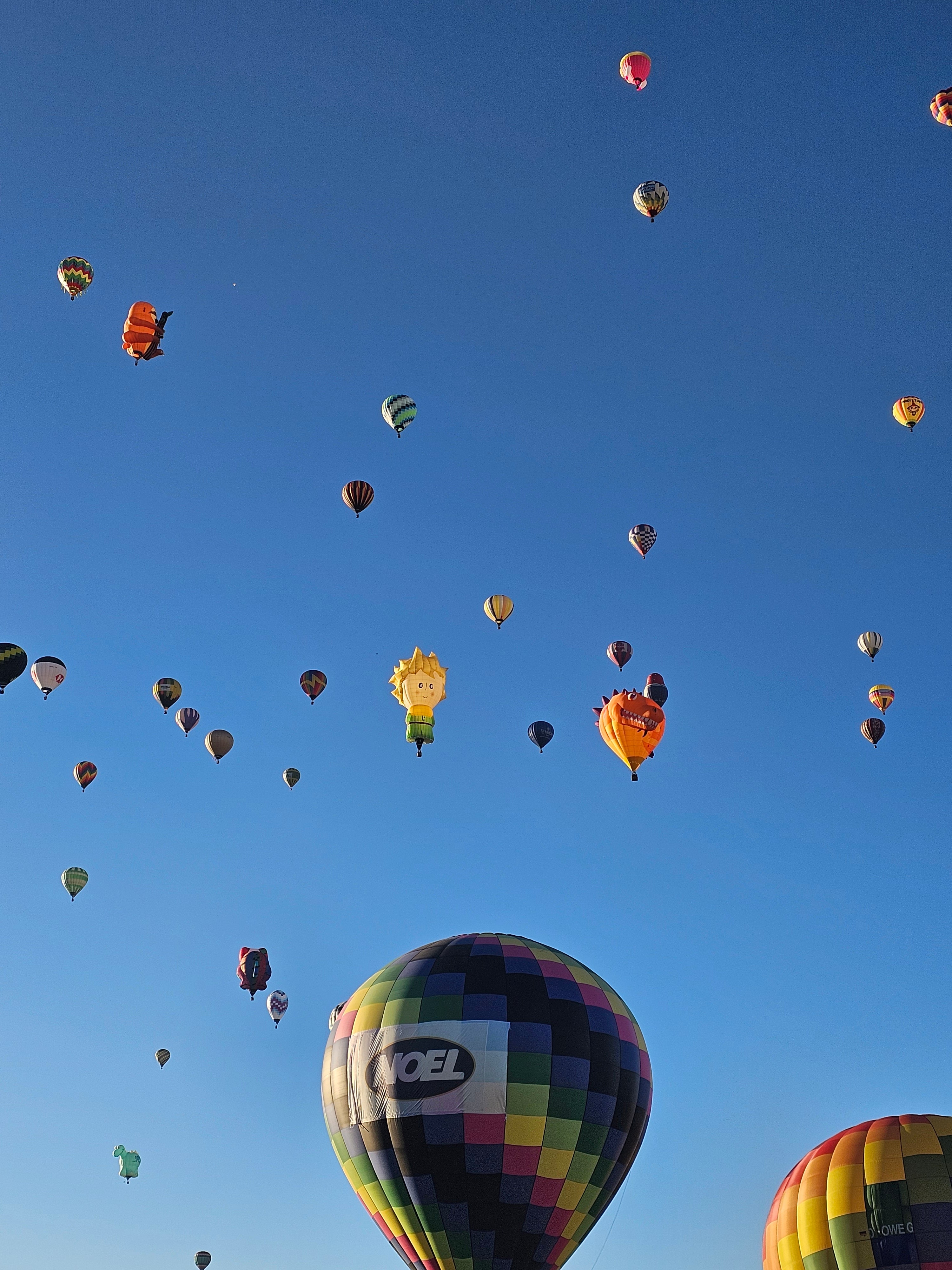 Festival del globo (FIG)