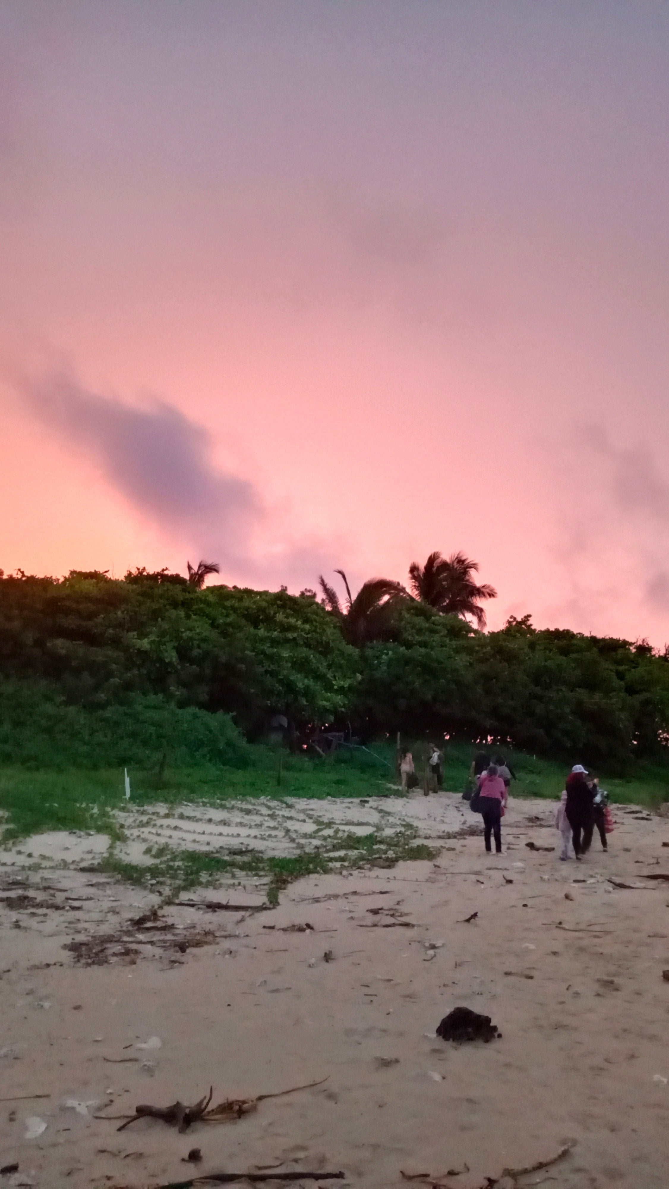 Isla de Enemedio Express