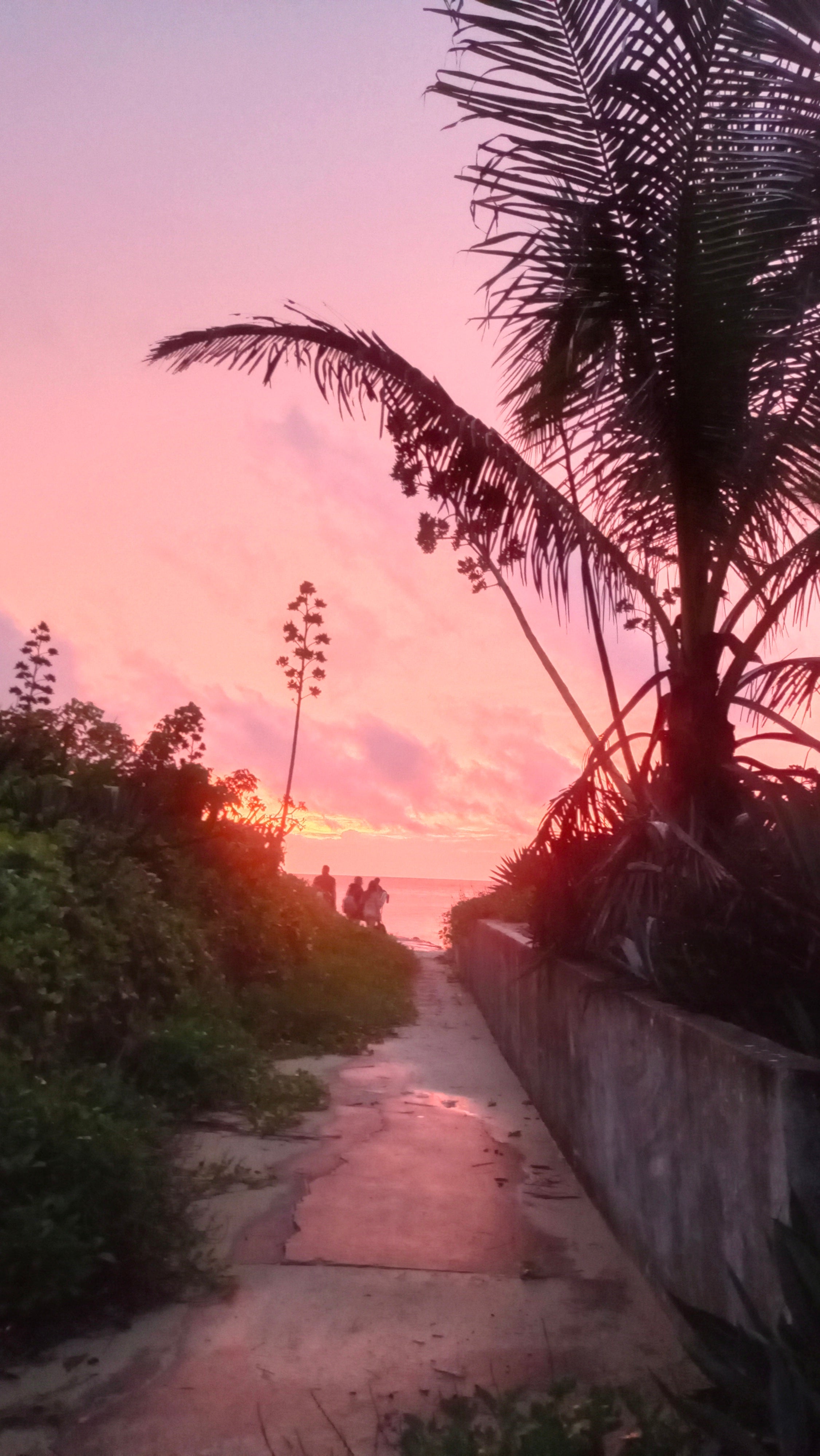 Isla de Enemedio Express