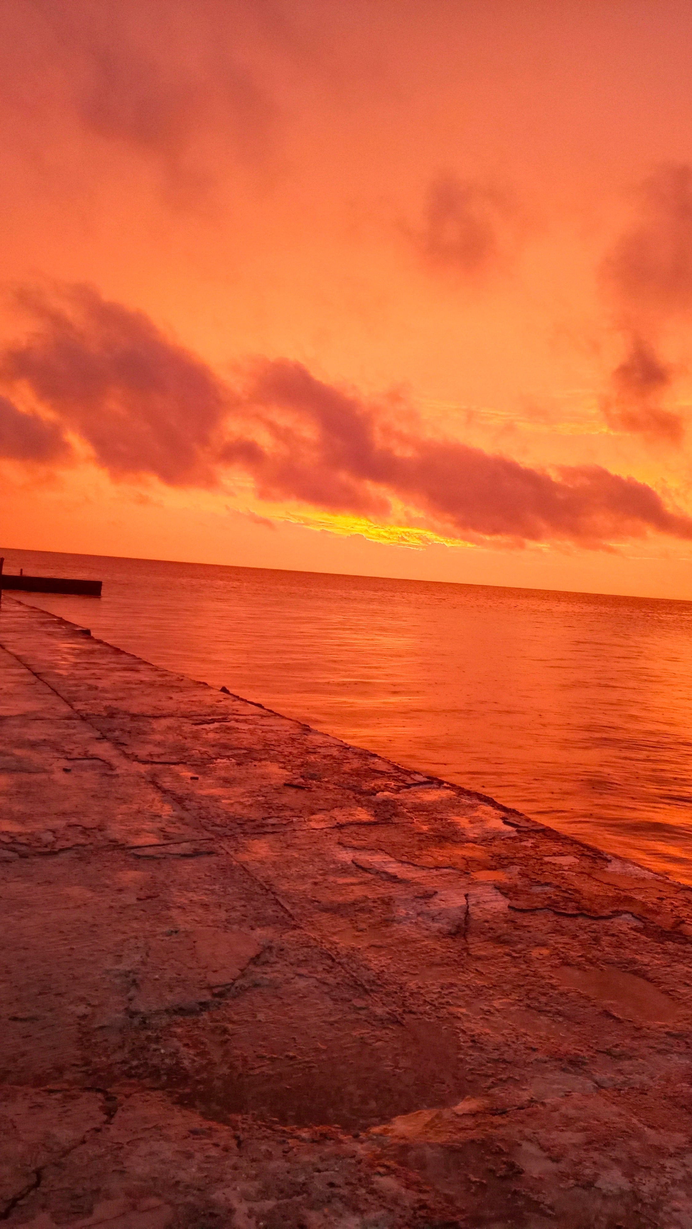 Isla de Enemedio Express