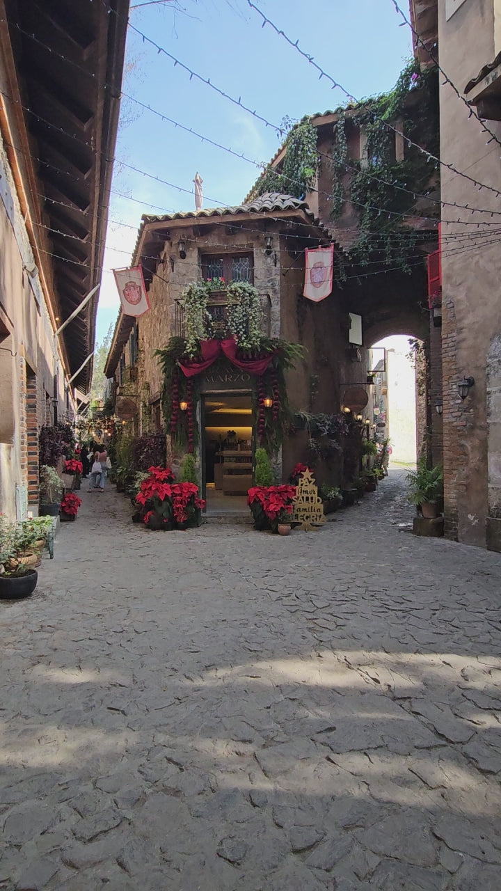 Atlixco, Viveros y Valquirico