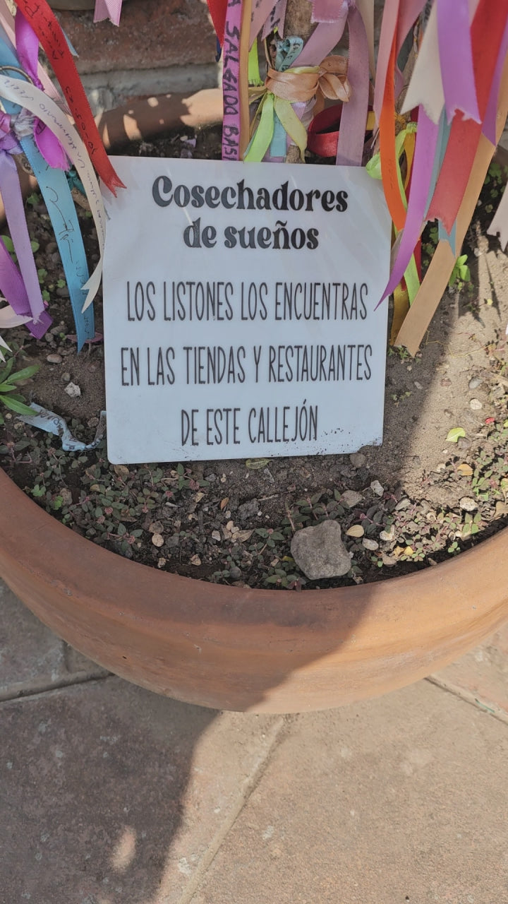 Atlixco, Viveros y Valquirico