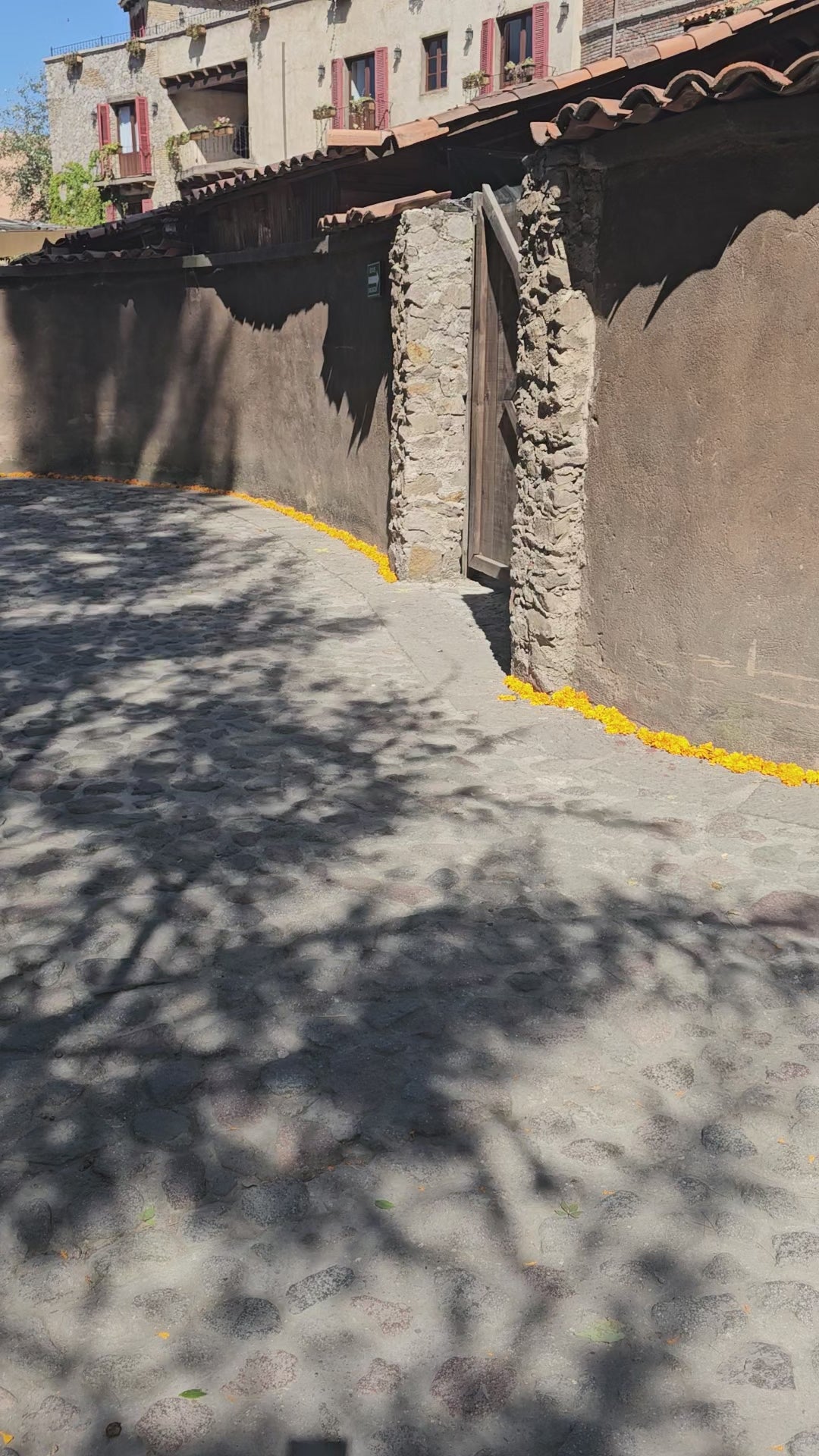 Valquirico, Pulque y Luciérnagas