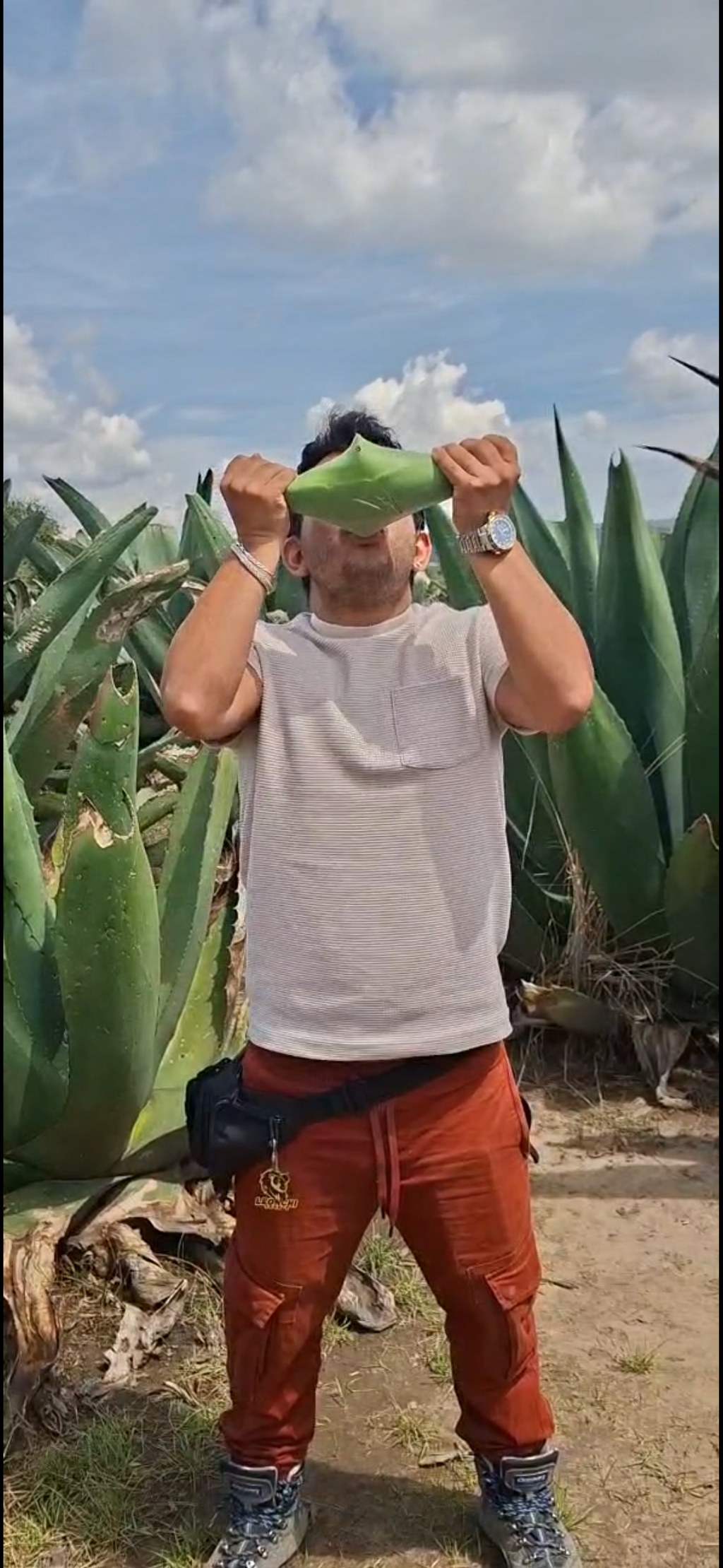 Valquirico, Pulque y Luciérnagas