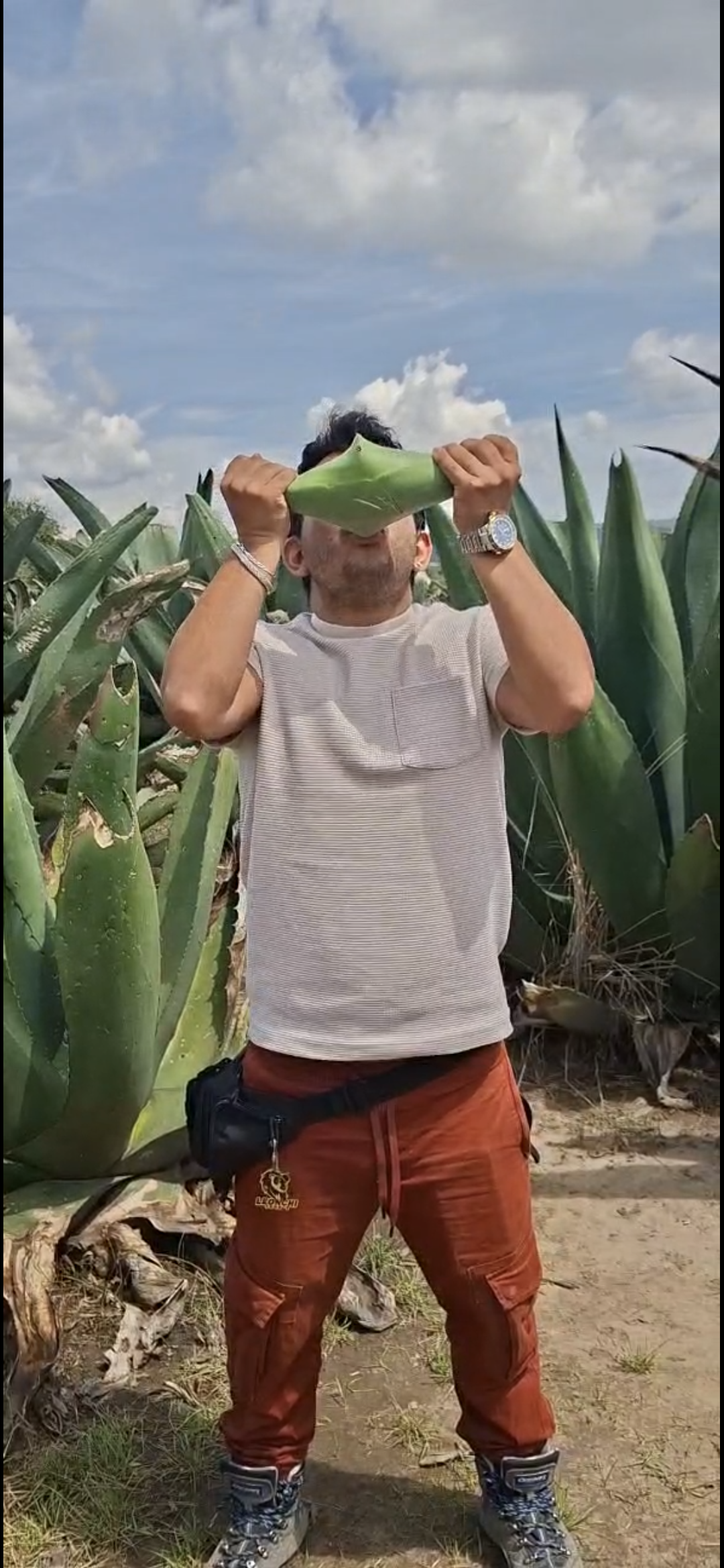 Valquirico, Pulque y Luciérnagas